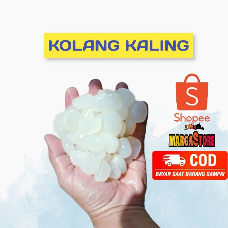 Kolang Kaling | Kolang Kaling Mentah 250gr
