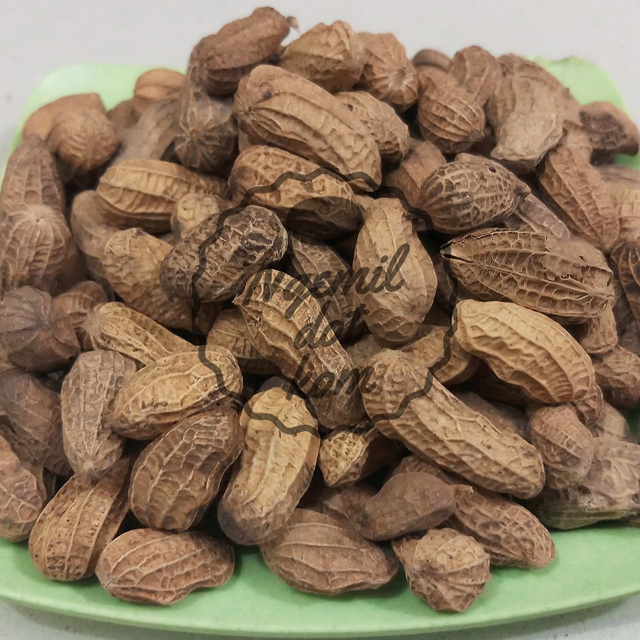 KACANG KULIT / KACANG SANGRAI / KACANG GARING / KACANG GORENG / KACANG KILOAN