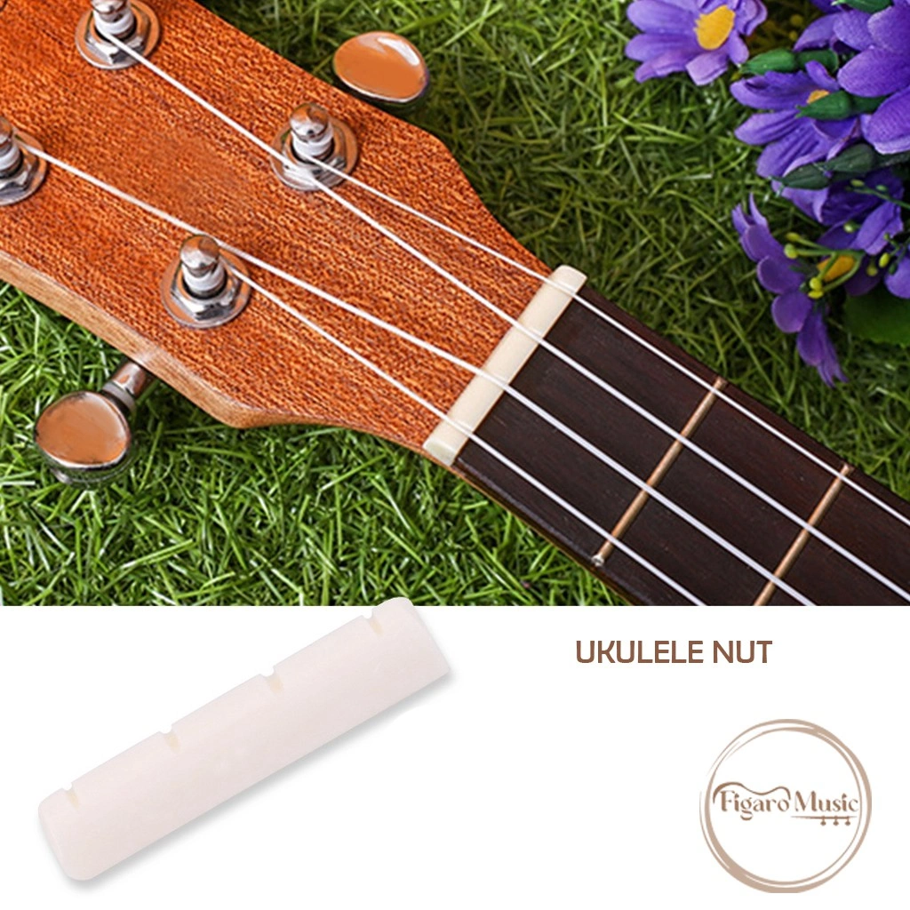 Nut Ukulele