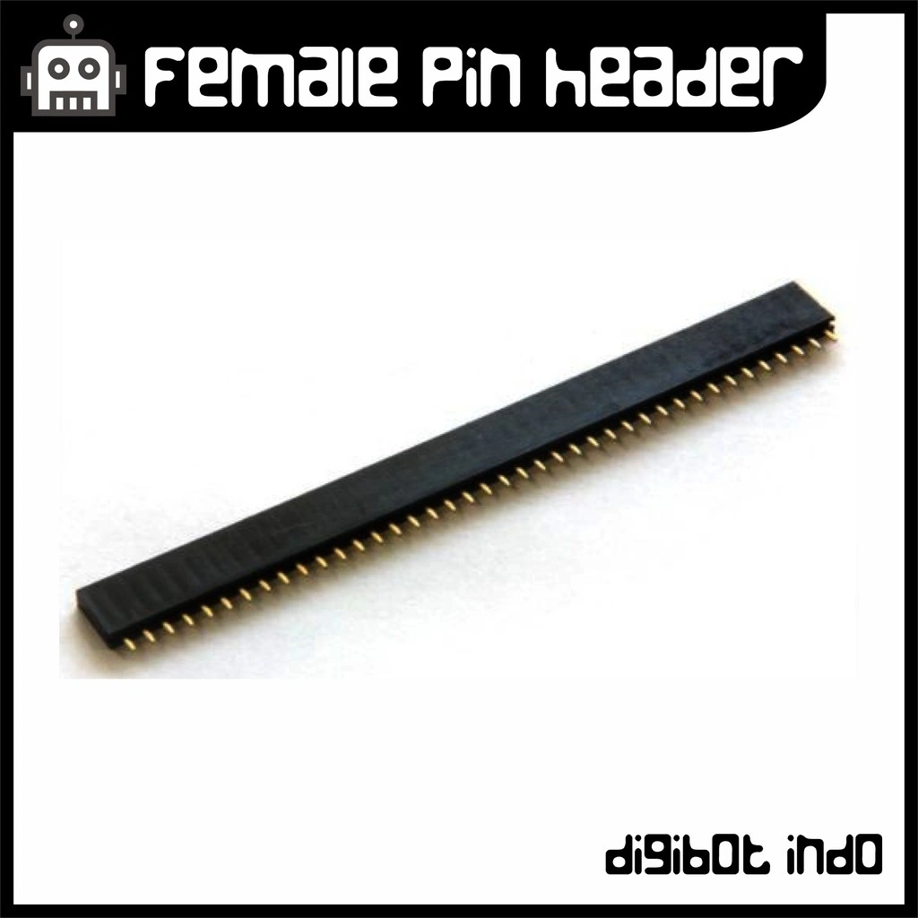 Female Pin Header 40pin 2.54mm