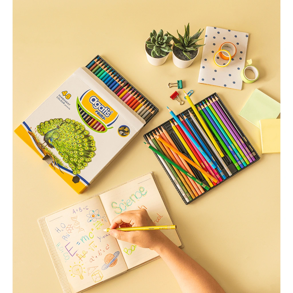 Agatis - Pensil Warna Prime 48 Warna