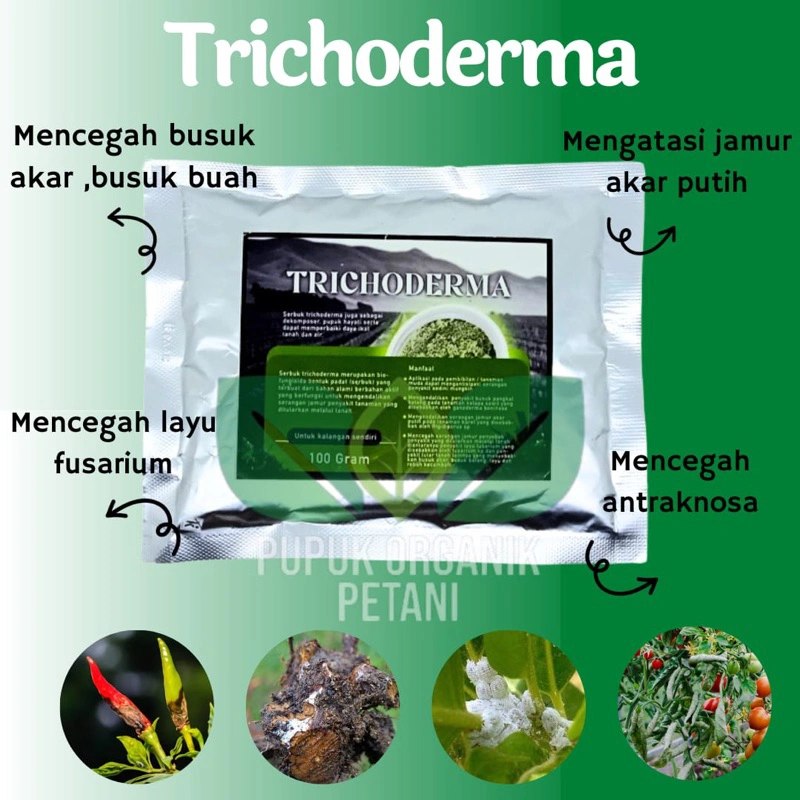 Pupuk Trichoderma Anti Layu Anti Busuk Kemasan 100 gram Pupuk Hayati Tricoderma Fungsida Organik Cegah Jamur dan Virus Pada Tanaman