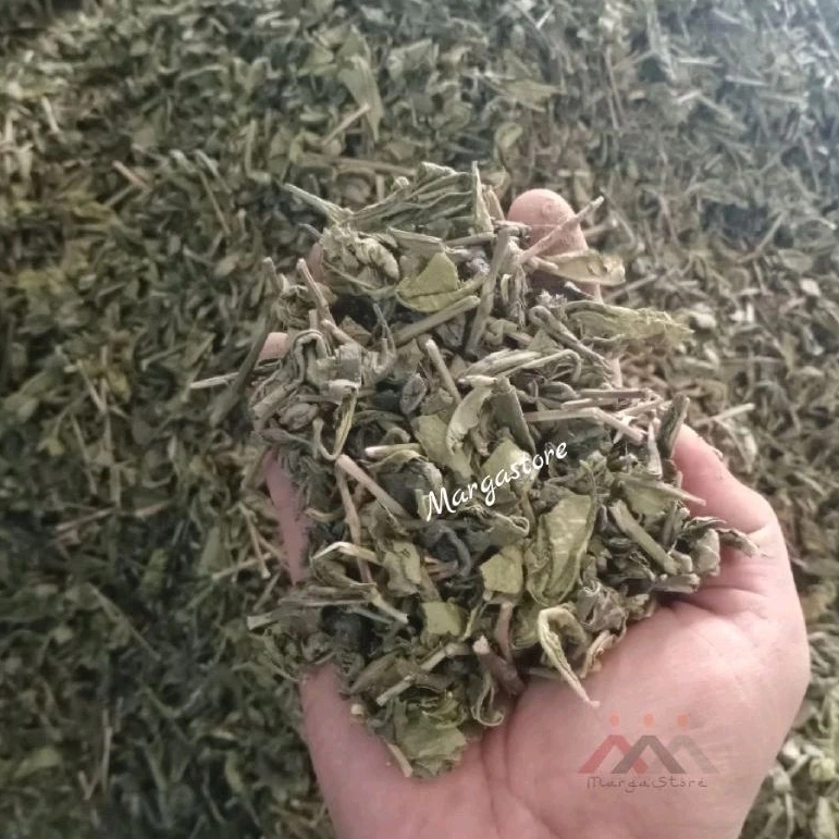Teh Hijau 1kg Greentea Teh Hijau Alami Teh Hijau Murni tanpa Campuran
