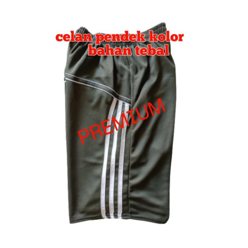 celana pendek/ celana kolor pria