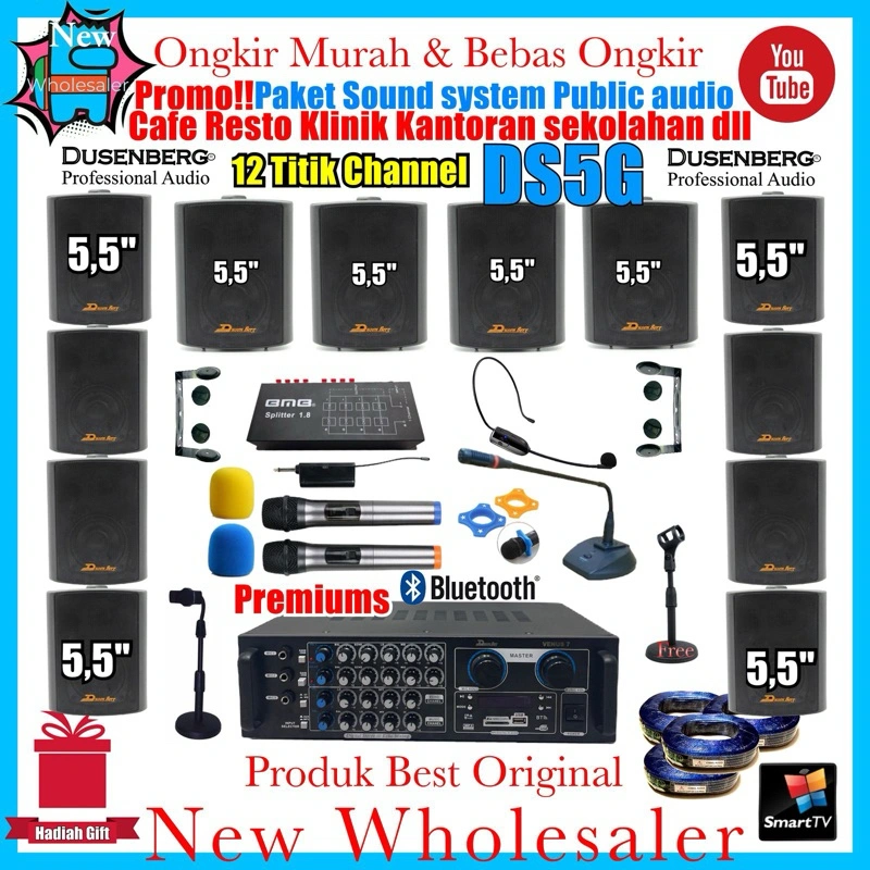 Paket Sound system 12 Channel Titik Pa public 5,5 inch Dusenberg DS5G