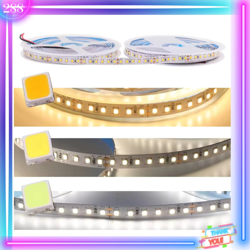 LED Strip Light roll 2835 12V 120 mata rapet 5m