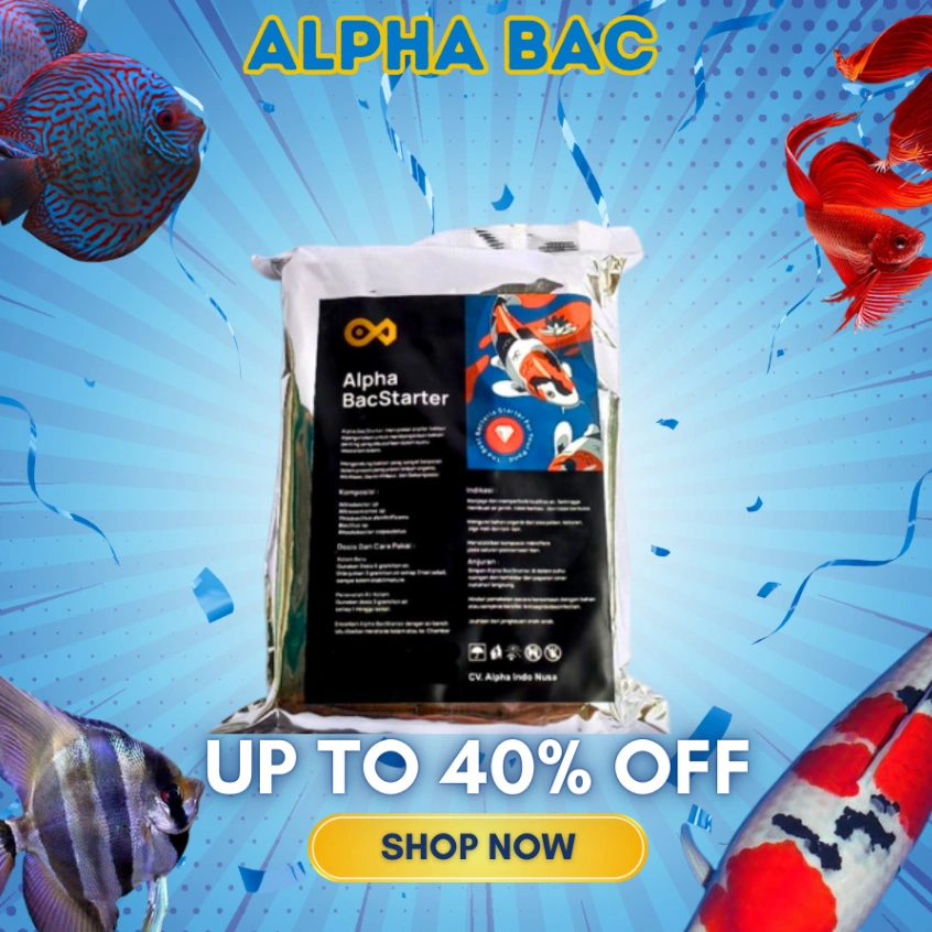 Alpha Bacstarter Kemasan Besar Untuk Kolam Koi Koki Wattana Farm