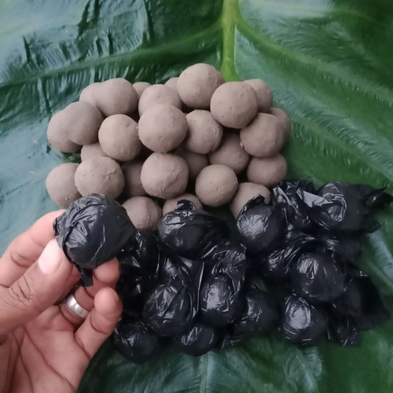 harga Perbutir ampo tanah liat untuk merebus daun pepaya agar tidak pahit