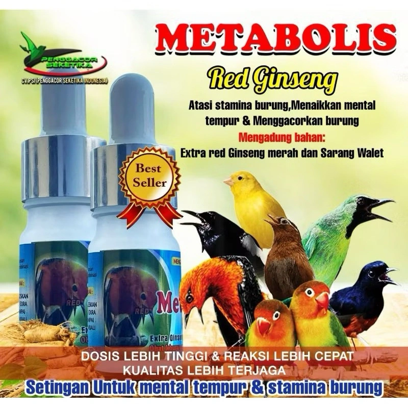 Metabolis Red Gingseng Vitamin Penggacor Suplemen Doping Booster Multivitamin Nutrisi Semua Burung