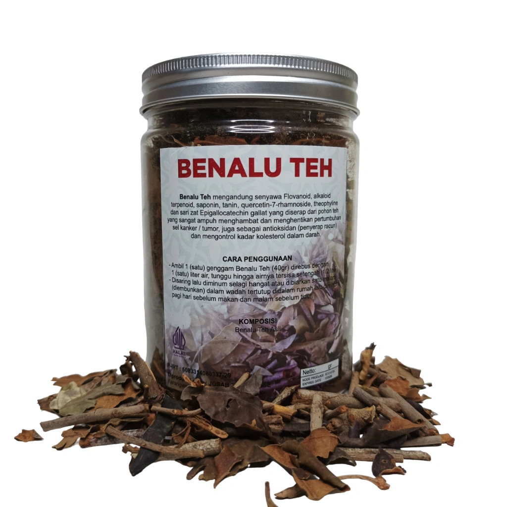 BENALU TEH KERING ASLI - BENALU TEH HERBAL ANTI KANKER