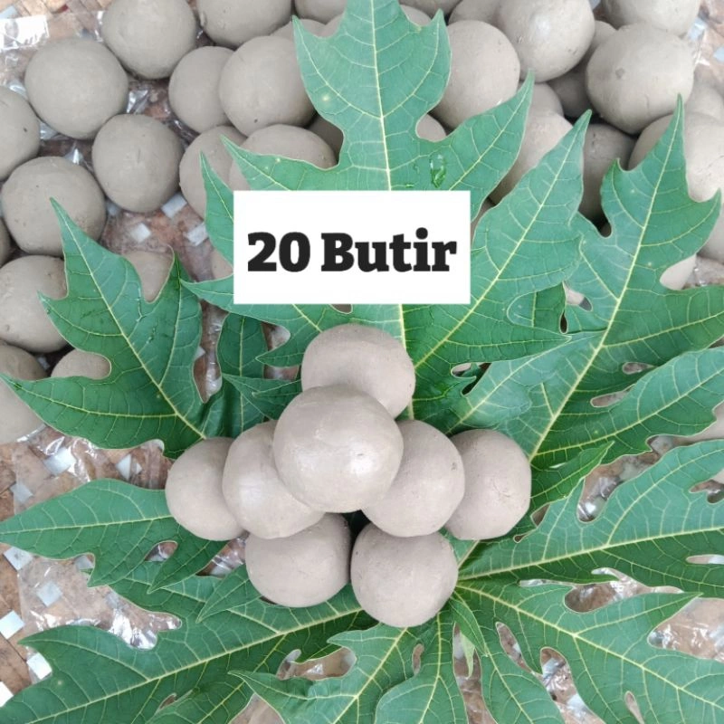 Ampo tanah liat kering atau lempung 20pcs penghilang rasa pahit di daun pepaya