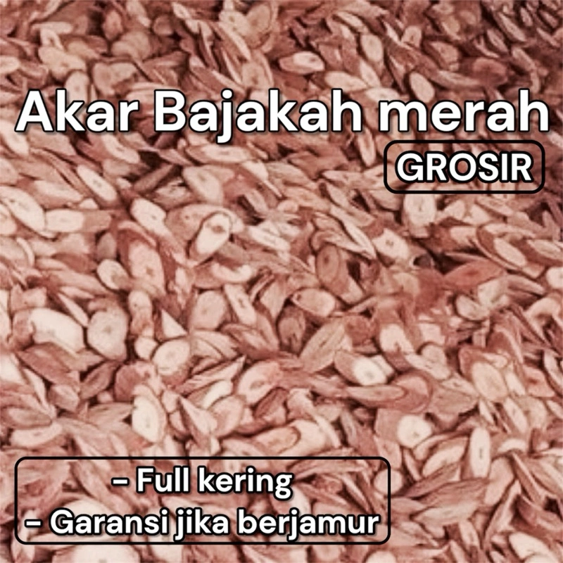 (TERLARIS) Akar Bajakah Kalalawit Merah 1kg / Akar Bajakah Kuning 1kg bonus teh bajakah