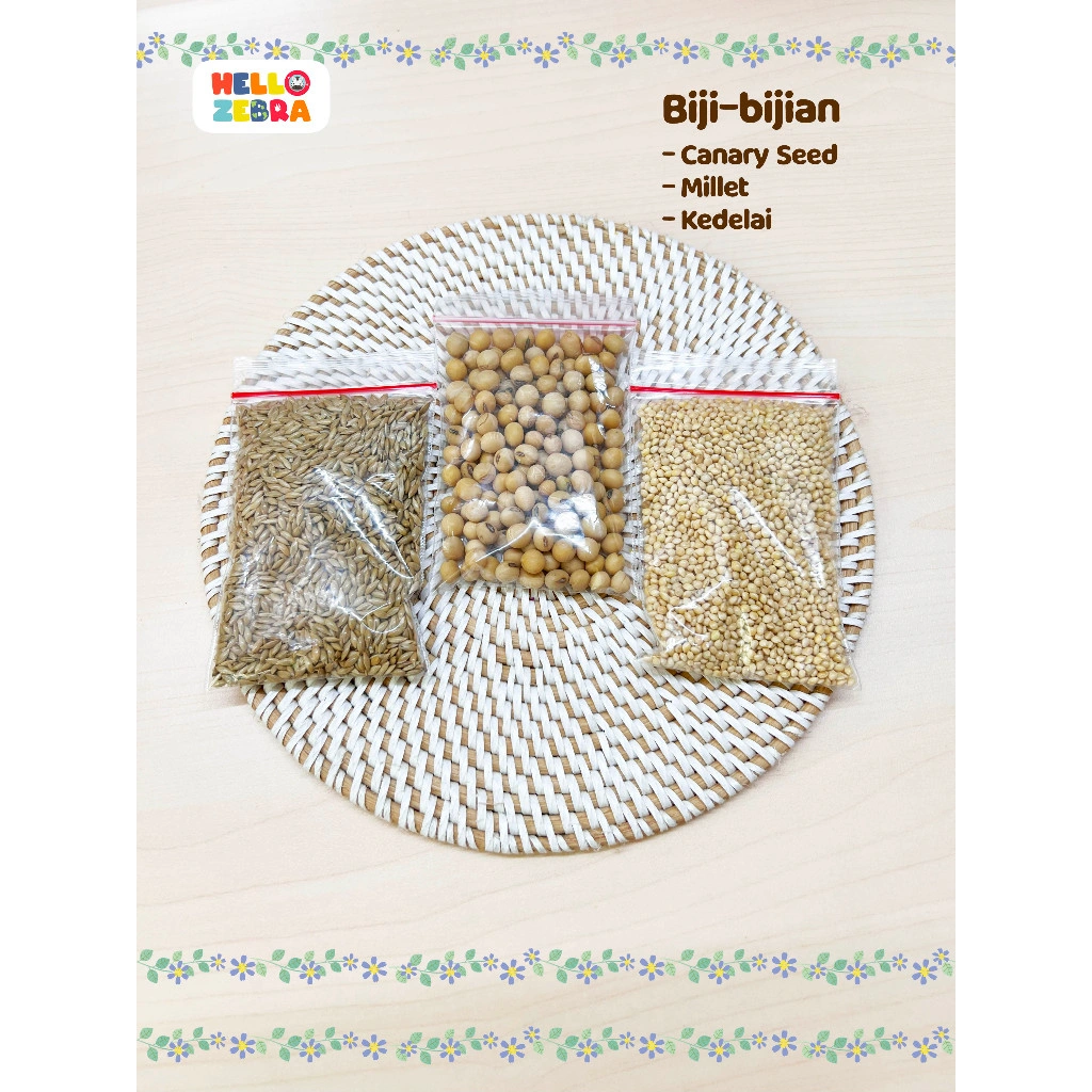 Biji-Bijian Untuk Bahan Kolase/ Bahan keterampilan Biji Kerajinan Tangan Prakarya DIY