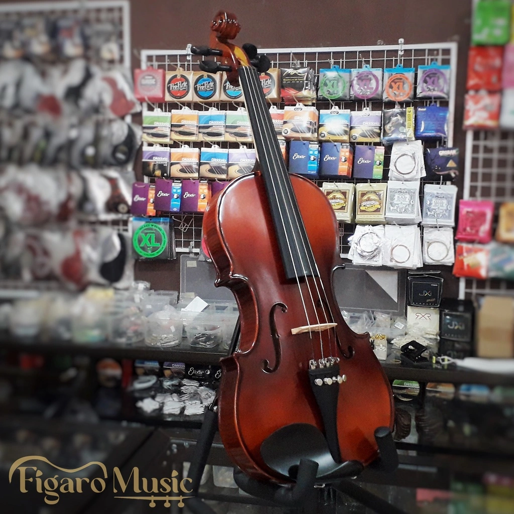 Biola Dvorak Violin, Made in Czecho - Serie AS 039