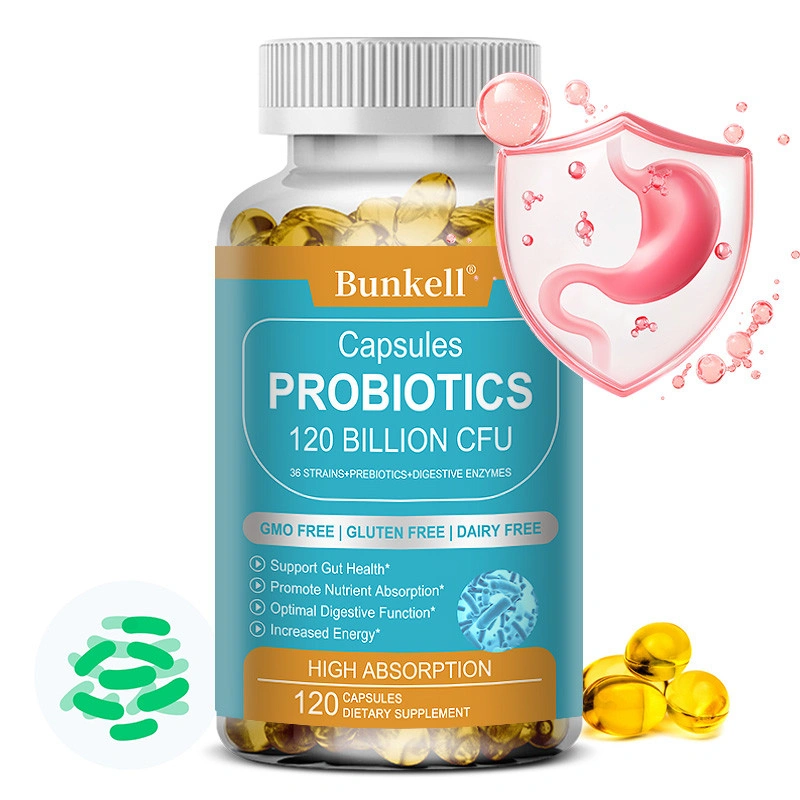 Suplemen Probiotik dengan Prebiotik dan Enzim Pencernaan untuk Pria dan Wanita Probiotik Pelepasan Terarah Jangka Panjang untuk Kesehatan Usus, Dukungan Kekebalan dan Pencernaan