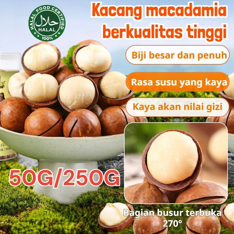 [COD+24H Pengiriman Cepat]Kacang Macadamia Rasa Susu Biji-bijian Besar/kacang Mentega Macadamia Besar/kacang Macadamia Besar/Kacang Renyah Dengan Rasa Susu/camilan Kalengan Kacang Rasa Kasual