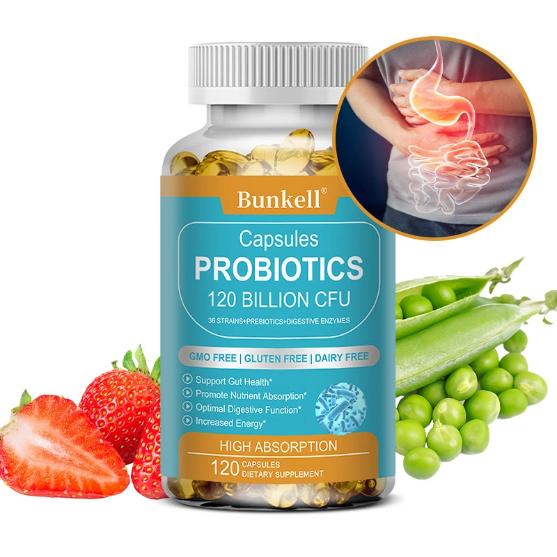Probiotik 120 Miliar CFU 36 Strain dengan Prebiotik & Enzim Pencernaan untuk Pria & Wanita Pelepasan Terarah Kesehatan Pencernaan Antimikroba
