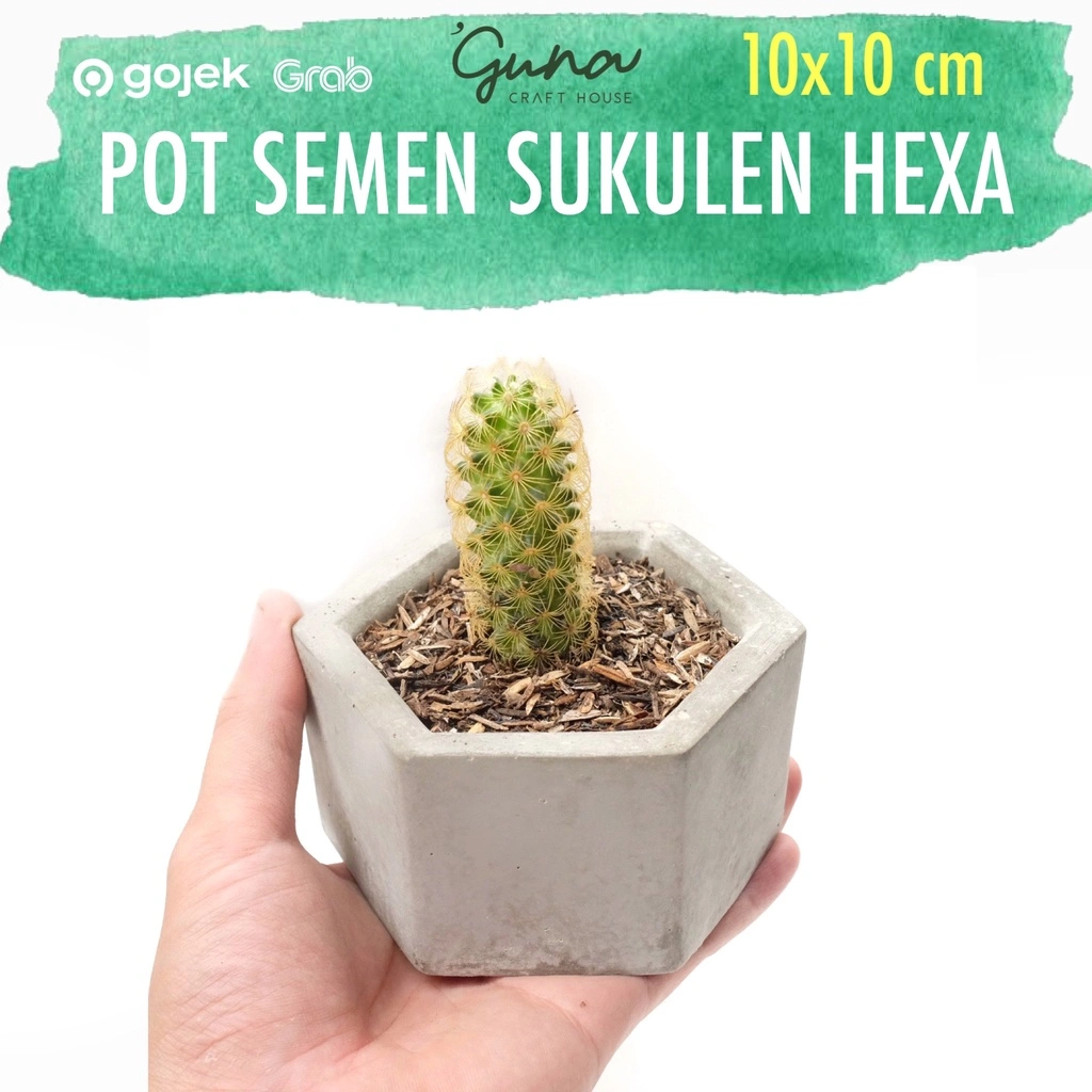 Pot Semen Beton Hexagon Segi Enam - Pot Kaktus Succulent - Pot Mini Sukulen - Dekorasi Tanaman