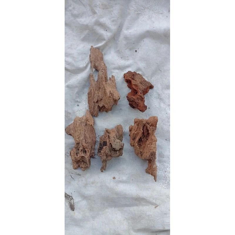 5 pics kayu rentek aquascape. mini