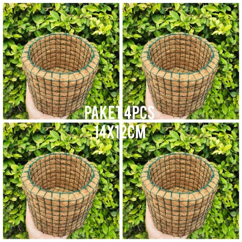 POT ANGGREK SABUT KELAPA DENDROBIUM COCOFIBER POT TANAMAN POT BUNGA POT ANGGREK BULAN VANDA