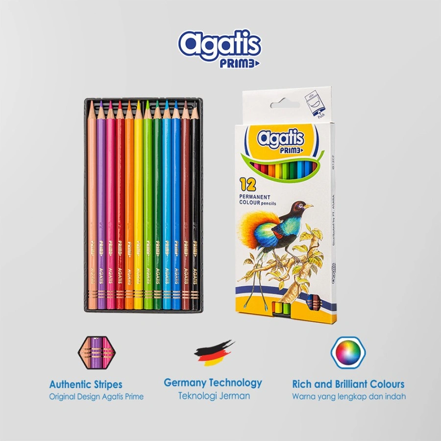 Asaba Stationery - Pensil Warna Agatis Prime 12 Warna
