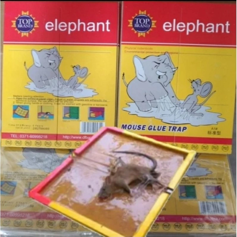 LEM TIKUS ELEPHANT SUPER LENGKET