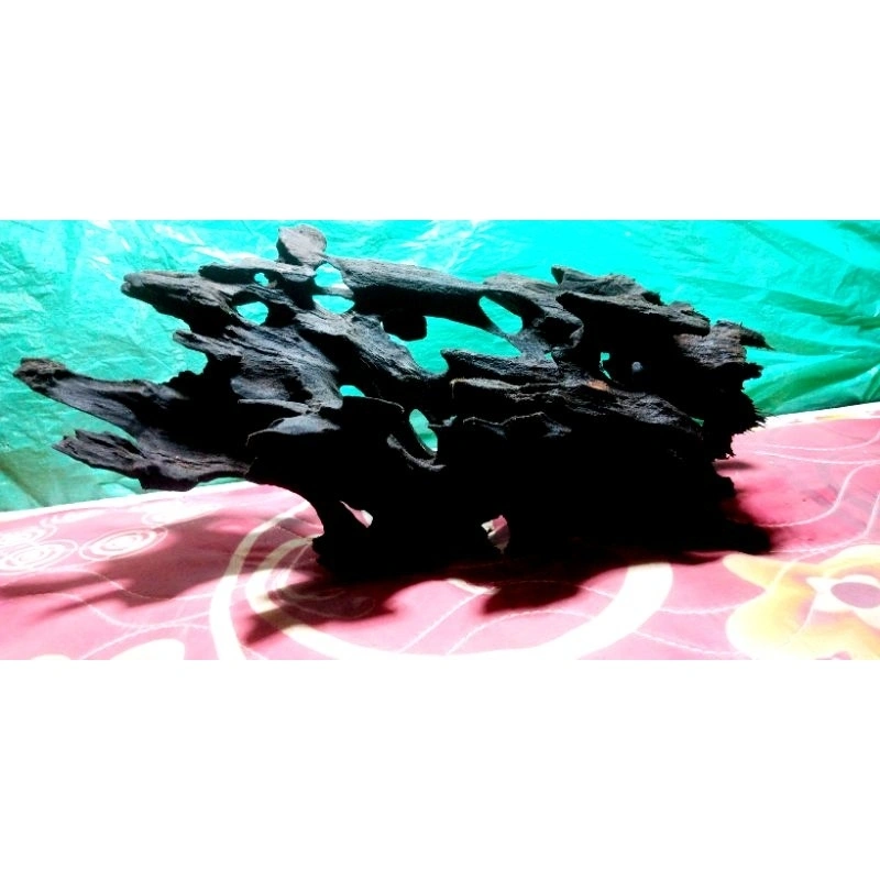 Kayu Rentek aquascape, kayu keras sudah tenggelam, size L