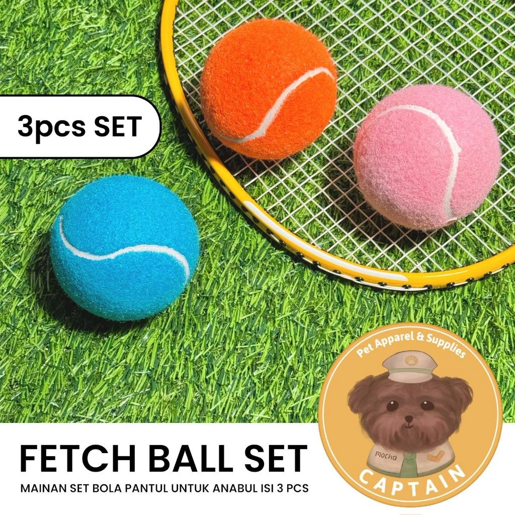 MAINAN BOLA ANJING FETCH BALL SET 3PCS DOG TOYS PAWPEEPOO PET TRAINING BALL