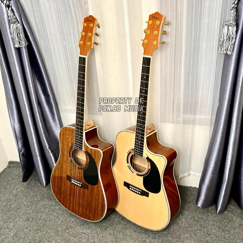 SANEZ PRO 210 SC Series Gitar ORIGINAL TRANSKUSTIK AKUSTIK ELEKTRIK HANDCRAFT