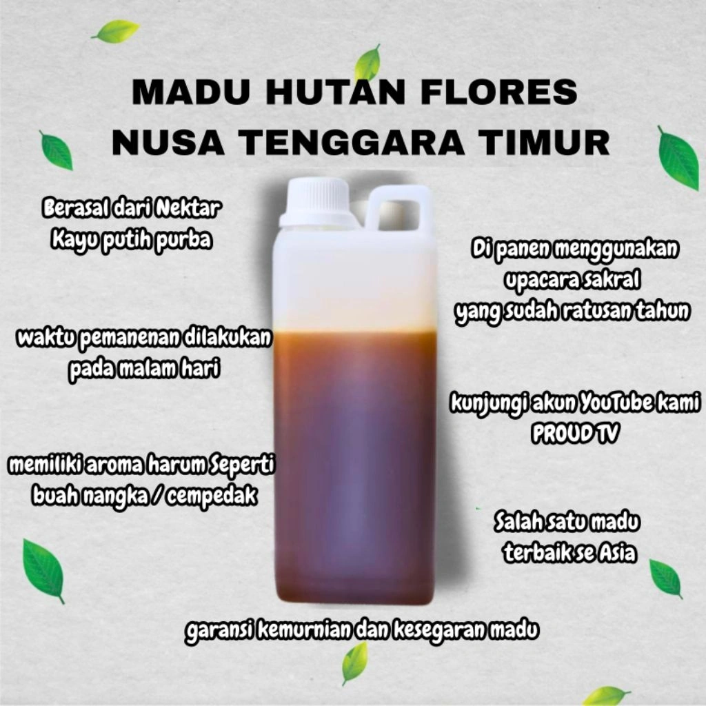 Madu Hutan Pedalaman NTT , Di Panen Dengan Tradisi Sakral Ratusan Tahun