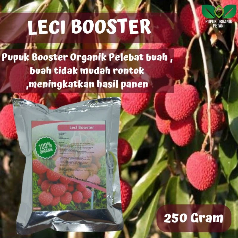Pupuk booster organik leci khusus leci agar cepat berbuah lebat tidak mudah rontok pupuk penyubur tanaman leci pemanis leci