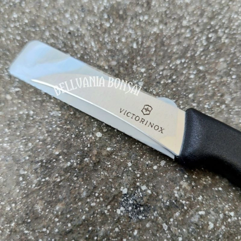 Pisau Okulasi Dan Stek Premium