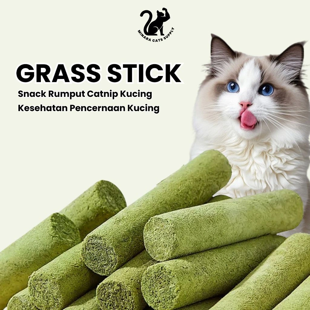 Cat Grass Stick - Catnip Kucing - Rumput Stick - Makanan Kucing - Cemilan Kucing - Snack Kucing - Dryfood Kucing - Wheatgrass Kucing - Rumput Kucing Untuk Pencernaan - Vitamin Kucing  - Anabul - Kucing Sakit - Minara Store Official - Minara Cats Supply