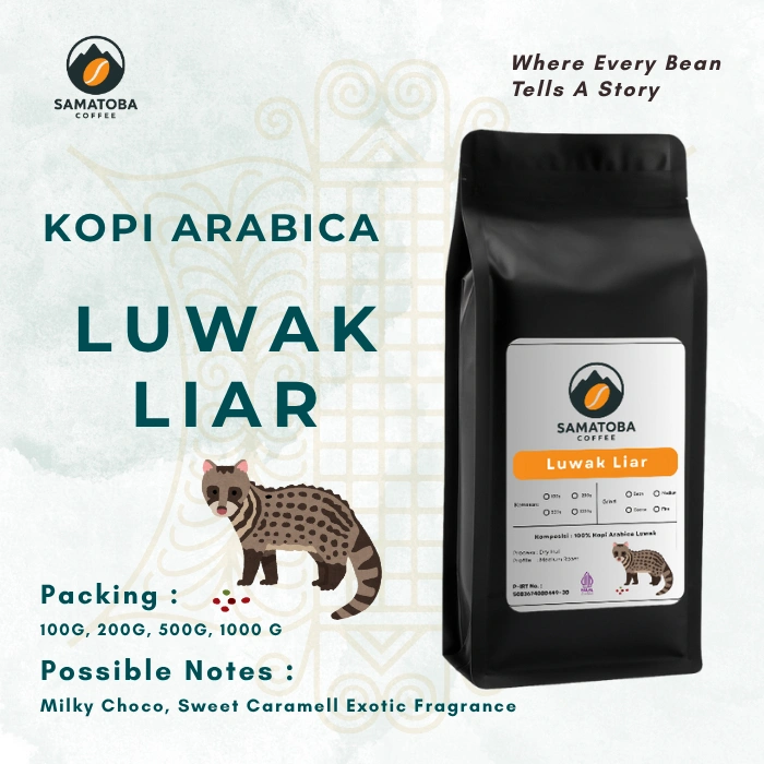 Kopi Luwak Liar Arabica Aceh Gayo Roasted Beans - Samatoba Coffee