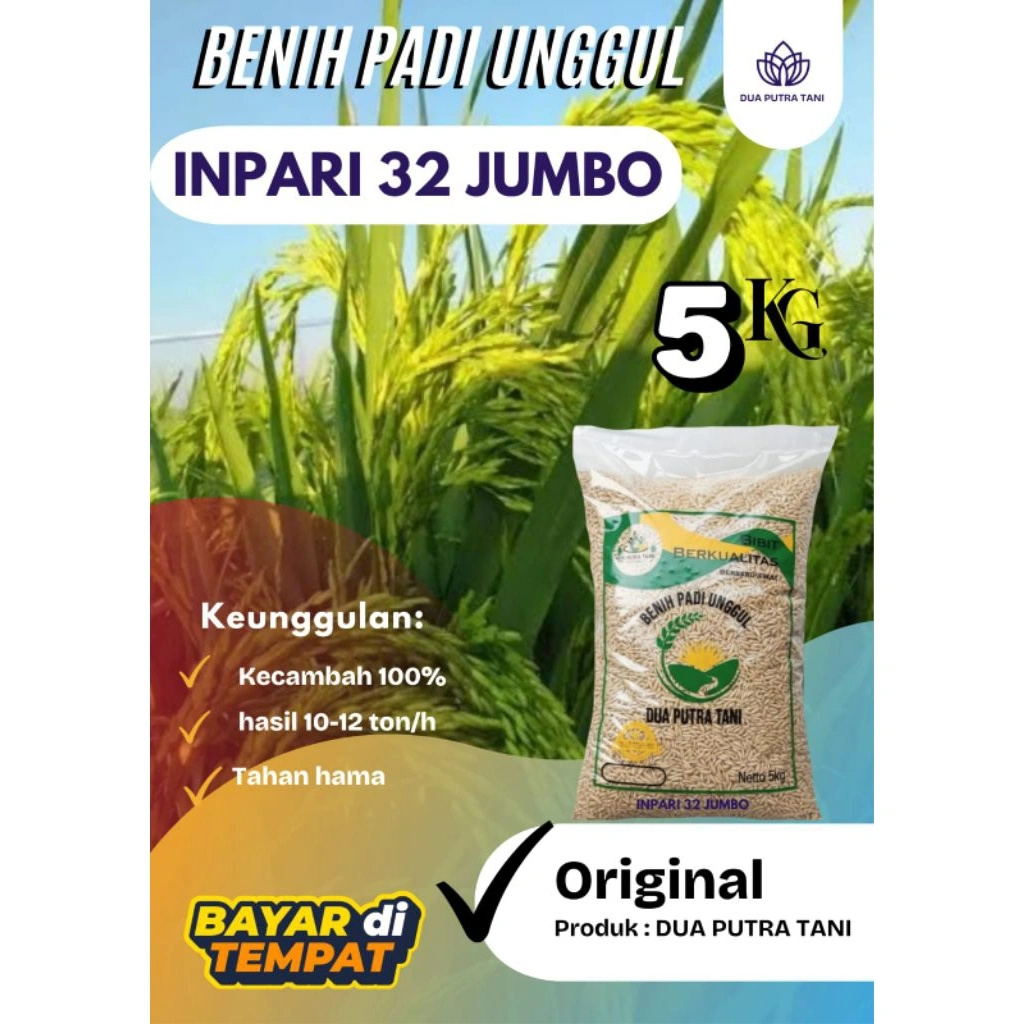 BENIH PADI INPARI 32 JUMBO 5 KG berkualitas terbaik