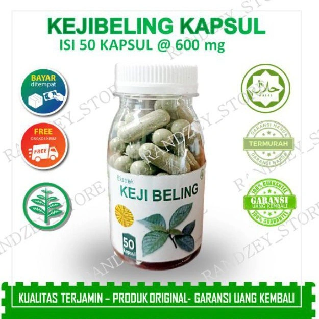 Obat batu ginjal herbal daun keji beling jamu suplemen kesehatan kapsul kejibeling isi 50