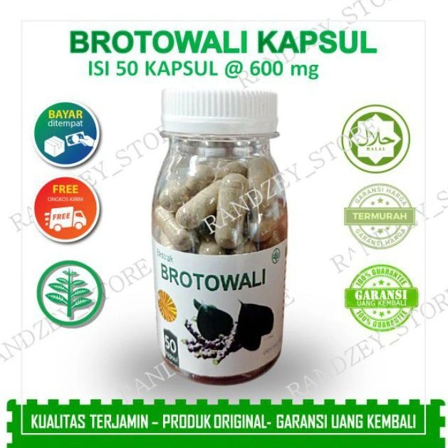 Brotowali obat gatal kulit eksim alergi biduran herbal daun jamu suplemen kesehatan isi 50 kapsul