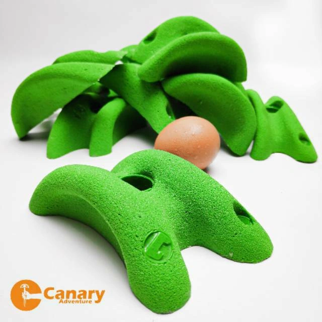 Paket 10pcs Poin Panjat Tebing Type Grip Boulder Wall Climbing Holds Anak Dewasa
