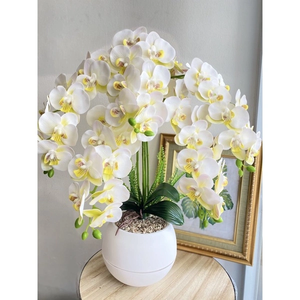 Bunga anggrek cabang 5 super rimbun dengan vas bola