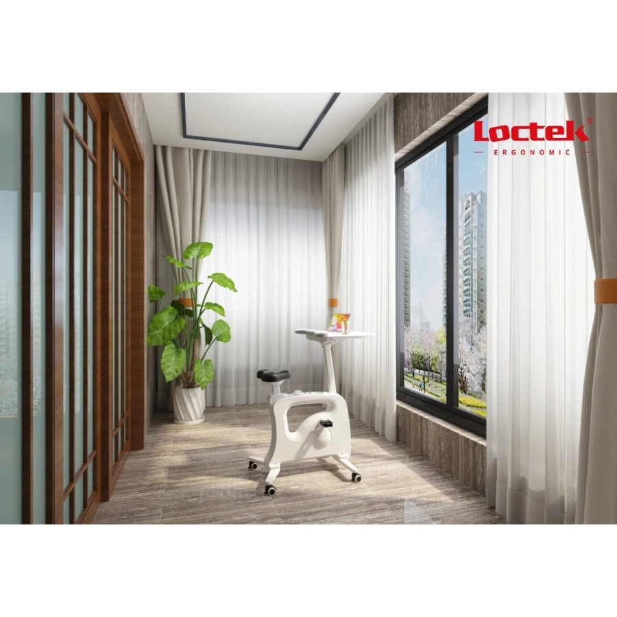 Loctek Ergonomic F209DT-A Exercise Bike
