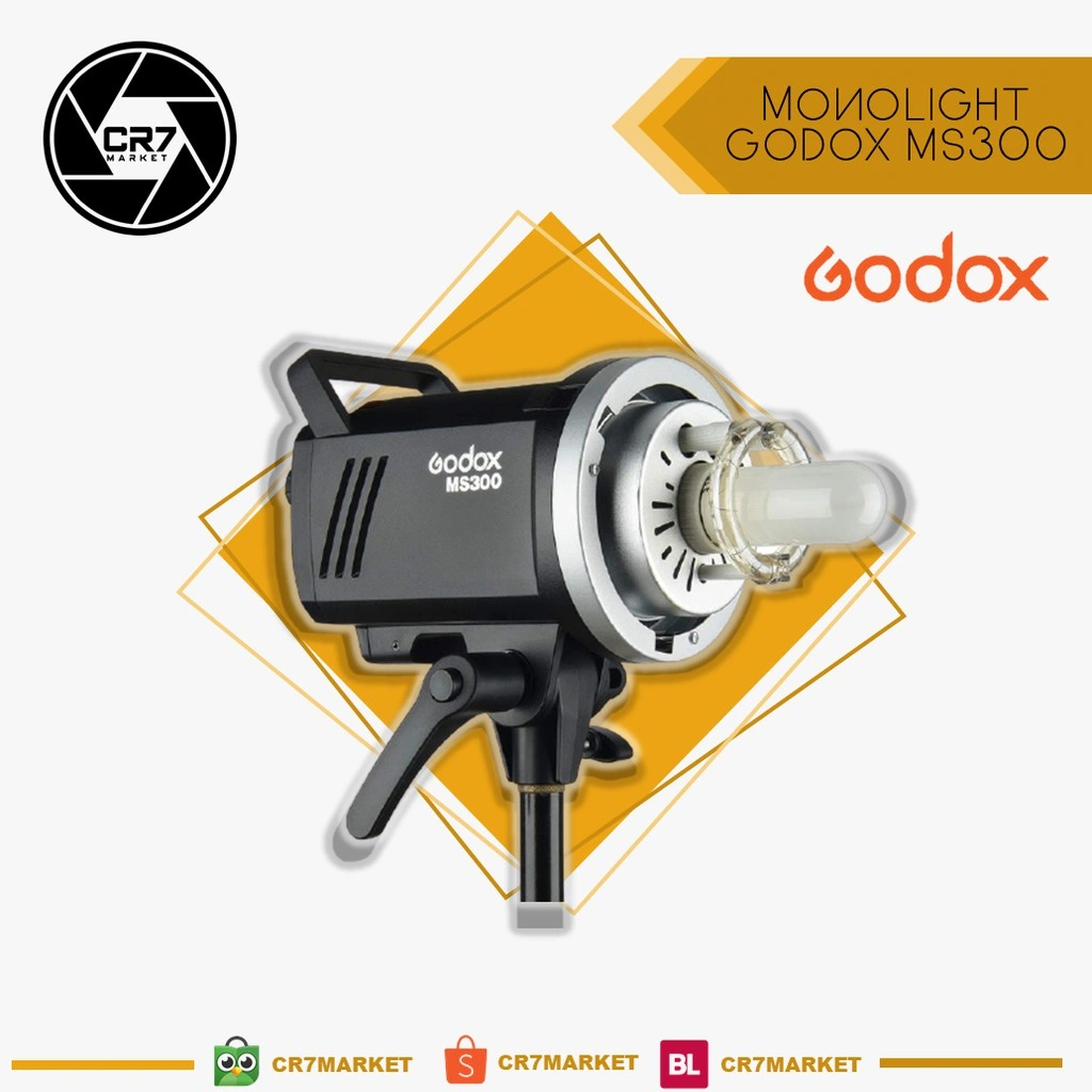 Lampu flash studio godox MS300 monolight studio flash