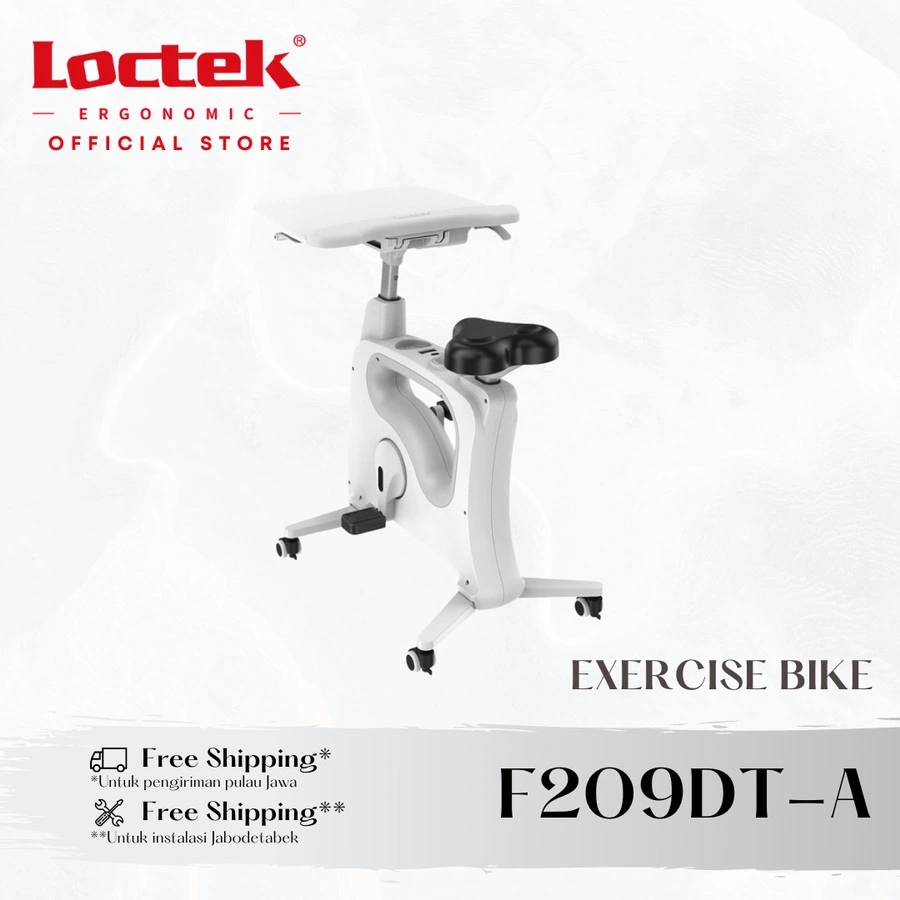 Loctek Ergonomic F209DT-A Exercise Bike