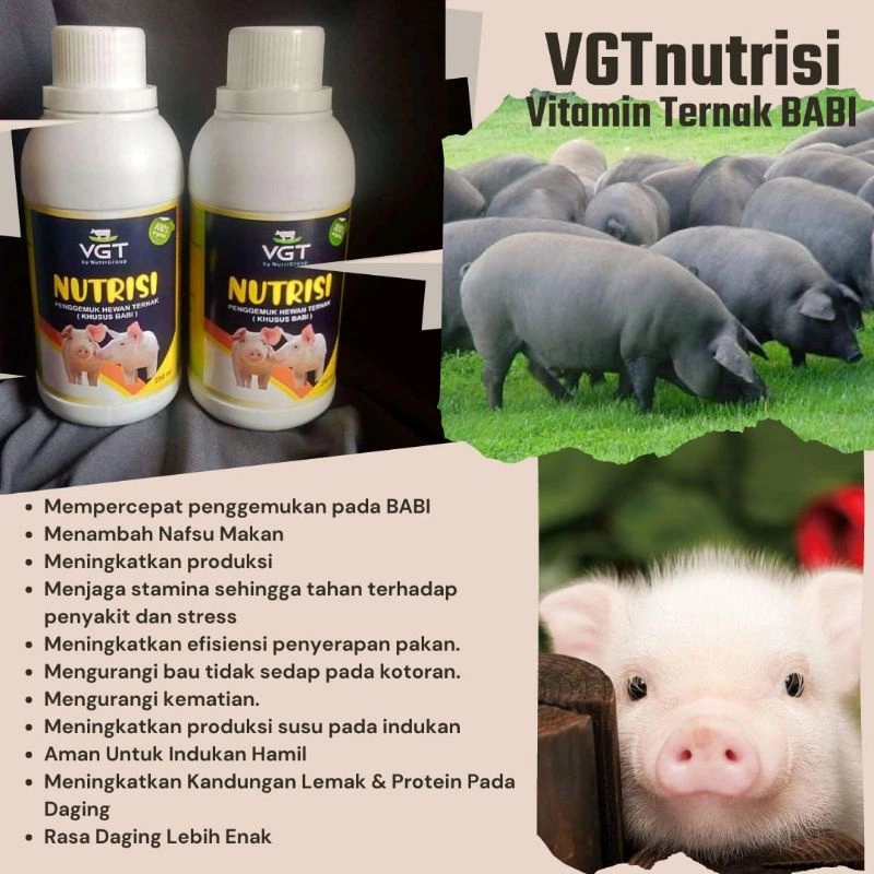 VGT nutrisi Ternak Babi probiotik vitamin ternak organik lebih baik dari viterna obat virus
