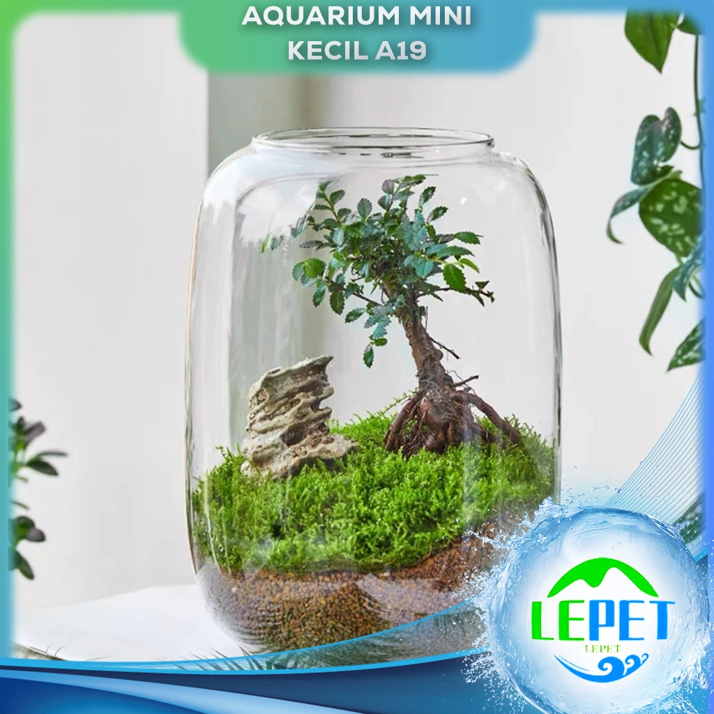 LEPET AQUARIUM MINI KECIL A19 / AKUARIUM IKAN CUPANG HIAS / KURA-KURA