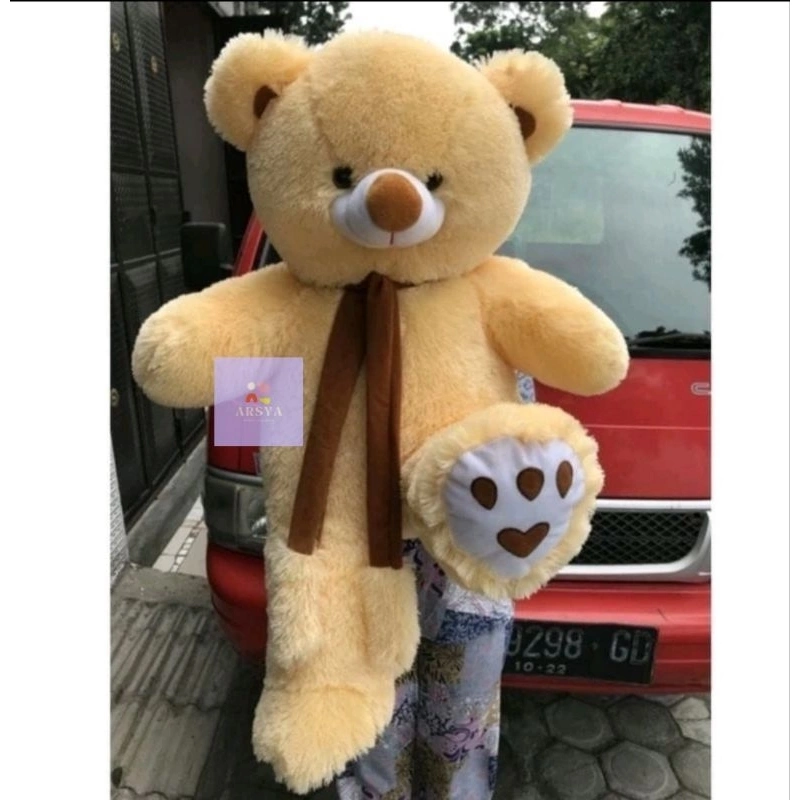 Boneka Beruang Teddy Bear Jumbo Syal Telapak