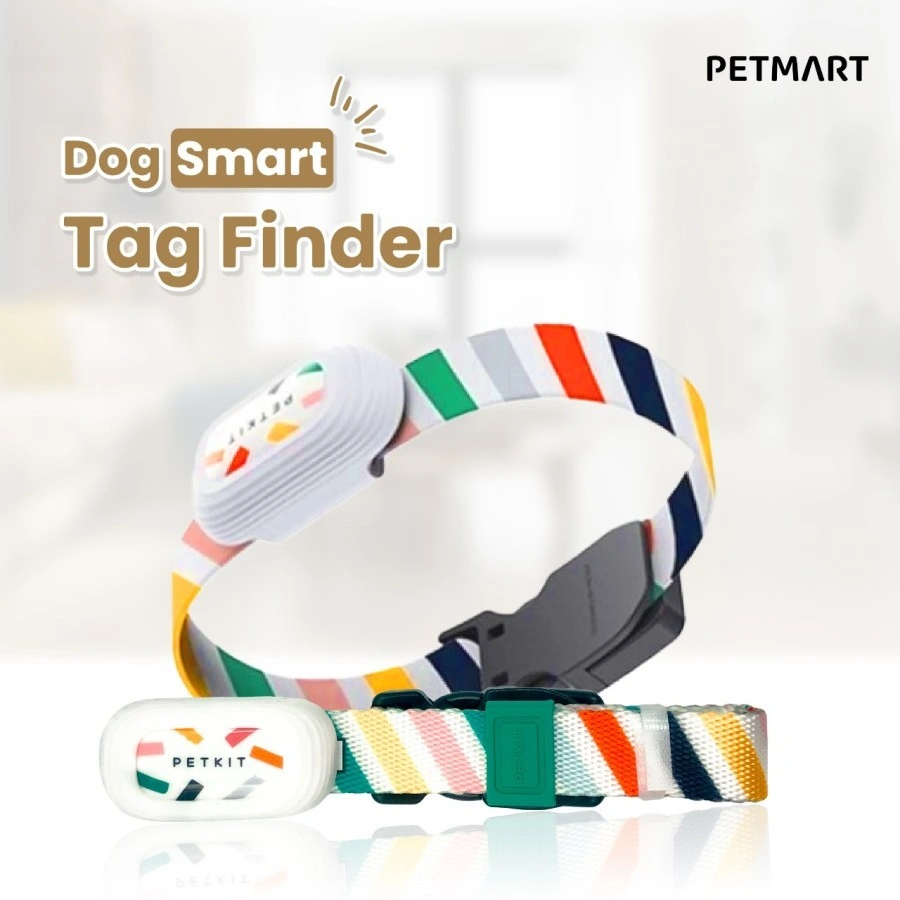 PETKIT Dog Smart Tag Finder