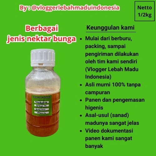 Madu Asli Hutan Liar Murni 100% Tanpa Campuran Apapun from the forests of West Java (500g)