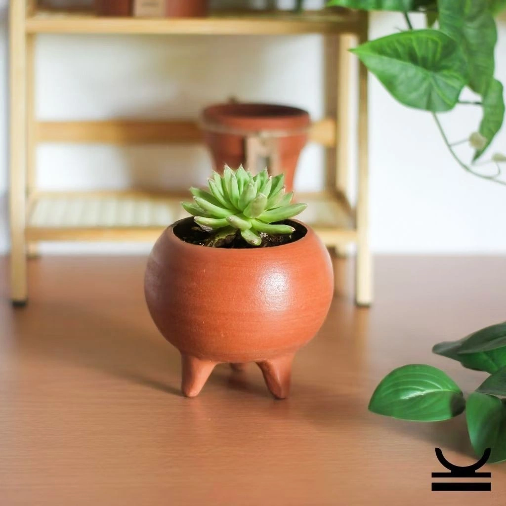 (PV03) Pot Gerabah | Pot Terakota | Pot Tanah Liat | Pot Tanaman | Pot Bunga | Aesthetic