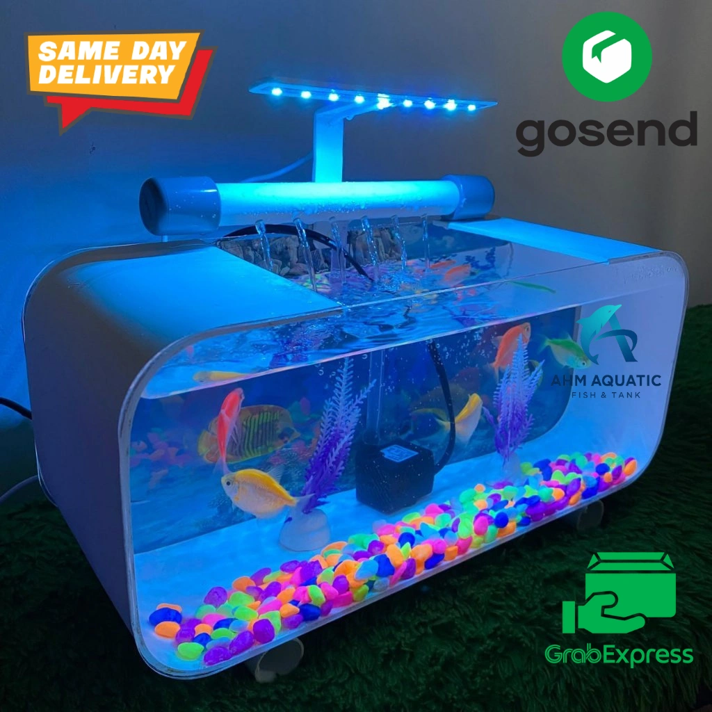 AQUARIUM PERSEGI  AKRILIK 30CM HIASAN RUMAH IKAN AESTHETIC FULLSET SIAP PAKAI