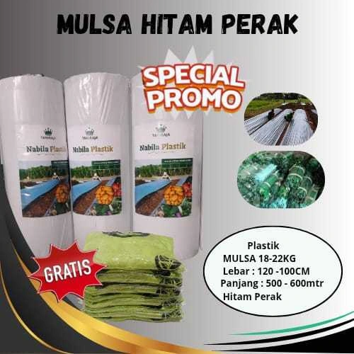 Mulsa hitam perak super panjang 600 meter berat 18 - 19kg free pasak dan kaos